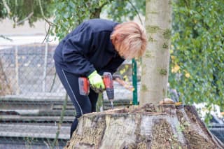 Hmyzie domček v priebehu prác